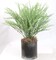 Lifelike Artificial Eucalyptus Bush - Realistic and Versatile Foliage for Home or Event Decor